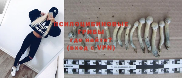 эйфоретик Аркадак
