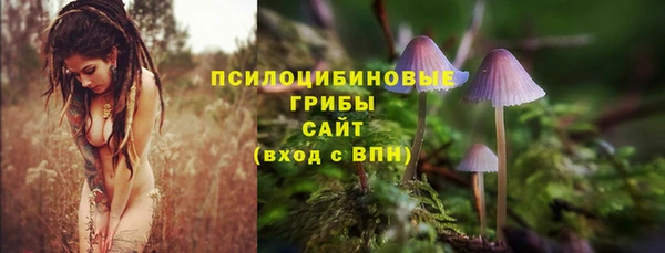 МДПВ Арсеньев